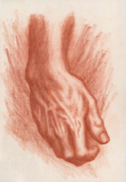 Human Hand 11 - Version 2